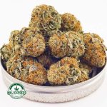 Buy Cannabis Platinum Oreoz AAA at MMJ Express Online Shop