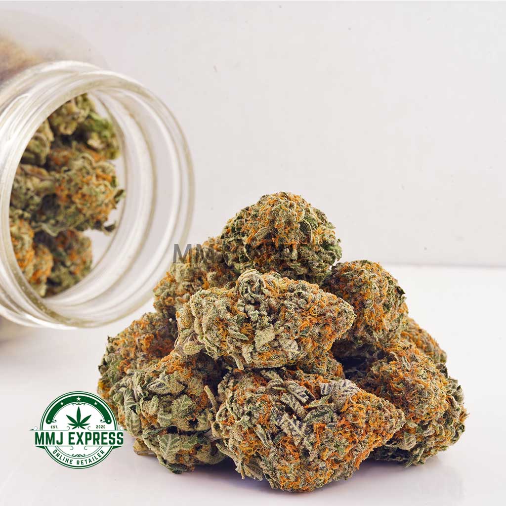 Buy Cannabis Platinum Oreoz AAA at MMJ Express Online Shop