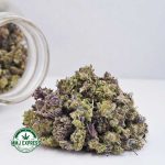 Buy Cannabis Zookies AAA (Popcorn Nugs) MMJ Express Online Shop