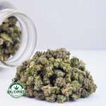 Buy Cannabis Blue Venom AAA (Popcorn) at MMJ Express Online Shop