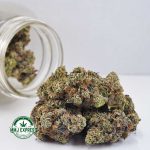 Buy Cannabis Platinum Rockstar AAAA at MMJ Express Online Shop