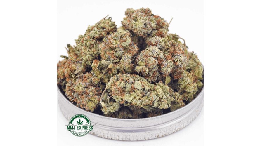 If this resonates with you, then you’ll fall in love with Cherry Haze AA (Popcorn Nugs) - the tastiest cheap weed in Canada that's perfect for stoners dealing with low energy levels and fatigue.