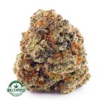 Buy Cannabis Comatose OG AAA at MMJ Express Online Shop