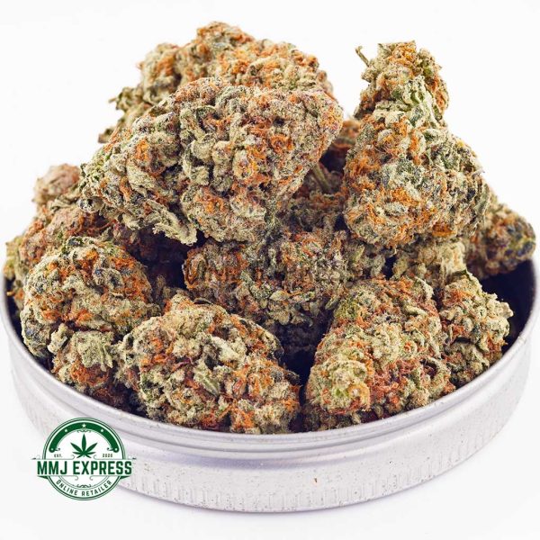 Buy Cannabis Comatose OG AAA at MMJ Express Online Shop