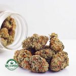 Buy Cannabis Comatose OG AAA at MMJ Express Online Shop