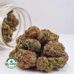 Buy Cannabis Master Kush Ultra (MKU) AAA MMJ Express Online Shop