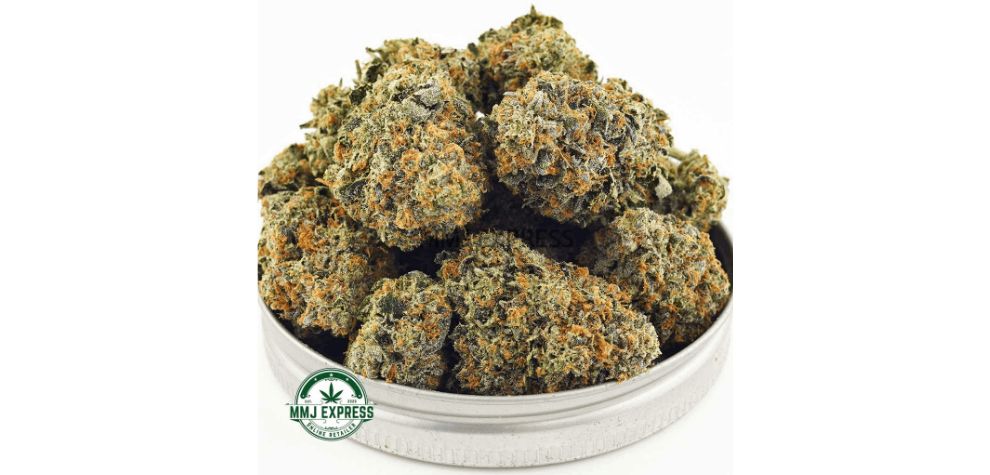 Looking to buy this BC weed online? Death Bubba is available at Canada's top pot store, MMJ Express.