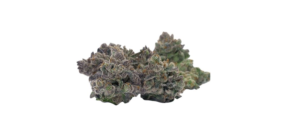 The Do Si Do strain is not just any old Indica - it's an insanely powerful one, with THC content that can reach a mind-boggling 28 to 30 percent. 