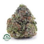Buy Cannabis Master Jedi AAA at MMJ Express Online Shop