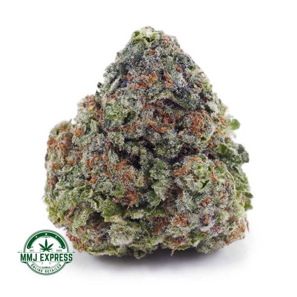Buy Cannabis Master Jedi AAA at MMJ Express Online Shop