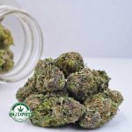 Buy Cannabis Master Jedi AAA at MMJ Express Online Shop