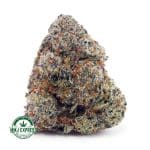Buy Cannabis Tangerine Haze AAA MMJ Express Online Shop