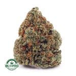 Buy Cannabis Banana OG AA at MMJ Express Online Shop