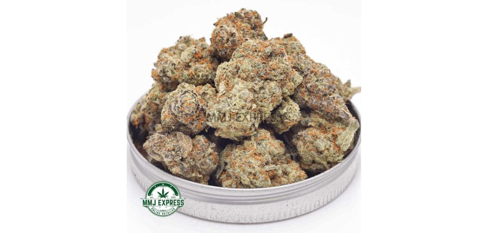 GMO Cookies is one of the most common strains you will come across when buying BC weed online.