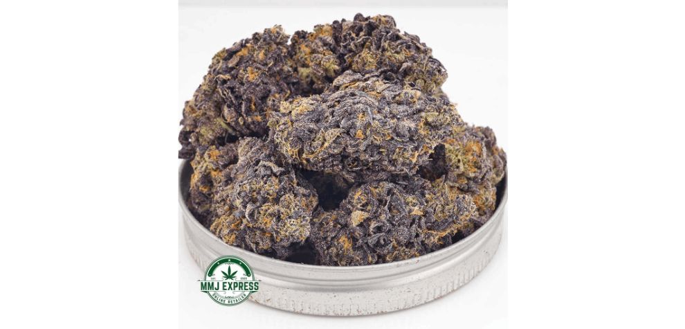 Gorilla Glue is a popular strain among enthusiasts who buy BC weed online. This strain is an indica dominant hybrid with a 60:40 indica-to-sativa ratio, which makes it a relatively well-balanced bud.