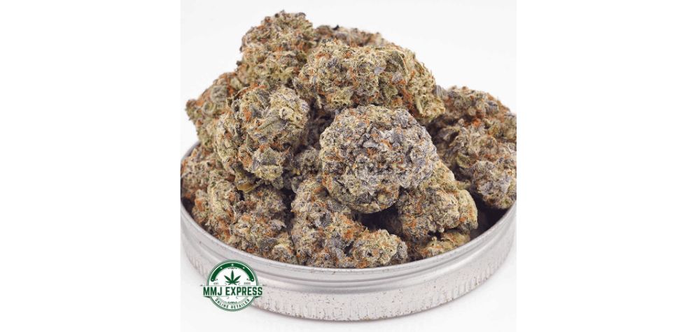 Ice Cream Cake is a rare hybrid created through a cross between the infamous Wedding Cake and Gelato #33 strains. If you are looking to buy weed online, this AAAA Ice Cream Cake flower is one of the best options.
