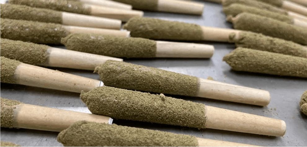 When it comes to buying the best pre rolls in Canada, there are plenty of advantages that make them a popular choice among cannabis enthusiasts. 