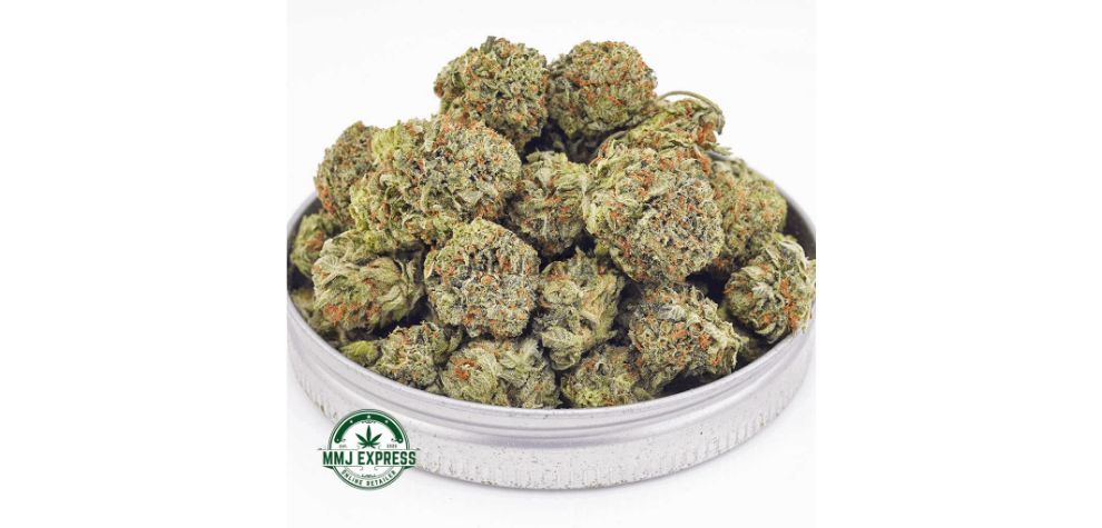 Like the typical indica, this strain delivers a potent body high that calms pain and aches and relaxes as it spreads through the body. Looking to buy this BC weed online? Buy these AAAA-grade Pink Kush popcorn nugs online at MMJ Express today! 