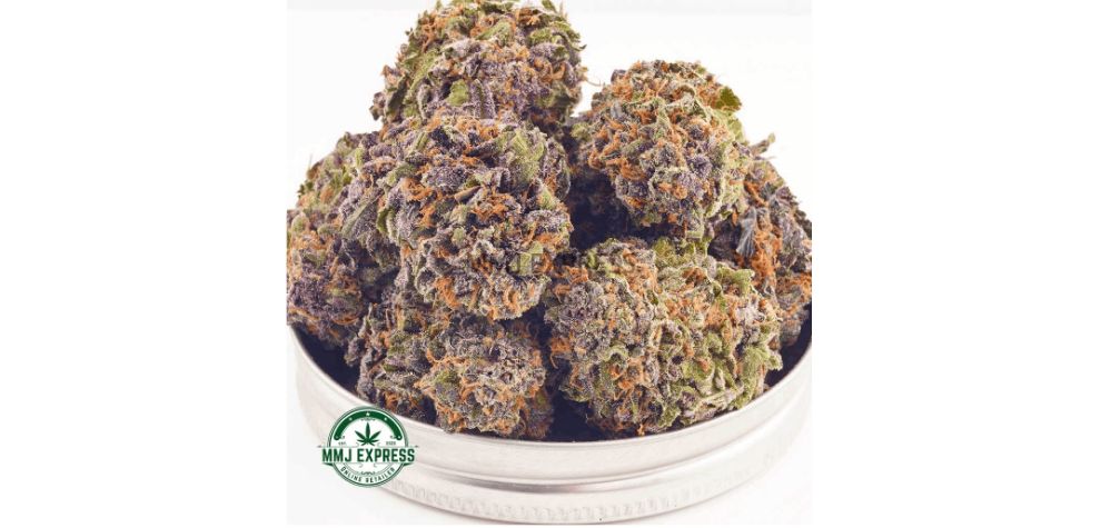 The Purple Diesel AAAA is a superb, top-shelf strain for canna lovers who desire potency and pain relief. 
