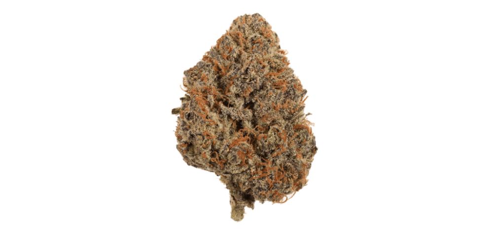As mentioned earlier, the Purple Trainwreck is a hard-hitting and powerful evenly-balanced hybrid (you get the best of both worlds - Indica AND Sativa!). 