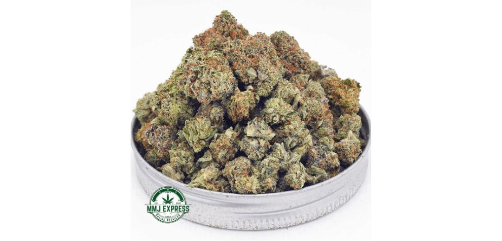 If you are looking for something closer to the Pink Gasoline strain, these AAAA-grade Astropink popcorn nugs at MMJ Express may be just what you want. 