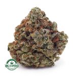 Buy Cannabis Sherbet AA at MMJ Express Online Shop
