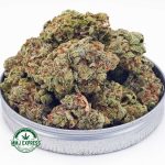 Buy Cannabis Sherbet AA at MMJ Express Online Shop