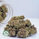 Buy Cannabis Sherbet AA at MMJ Express Online Shop