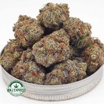 Buy Cannabis Platinum Blackberry AAAA at MMJ Express Online Shop