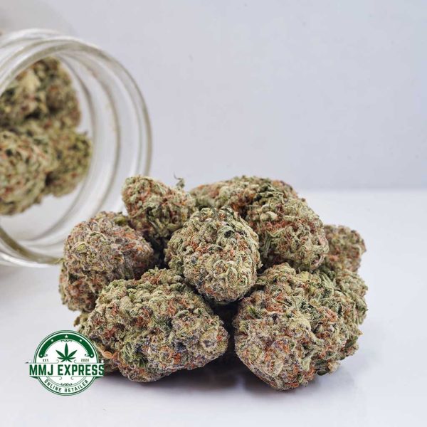 Buy Cannabis White Rhino AAAA at MMJ Express Online Shop