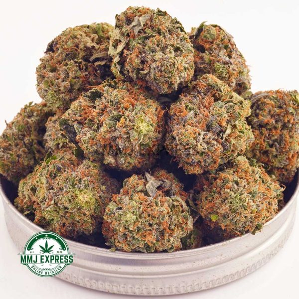 Buy Cannabis Black Tuna AA at MMJ Express Online Shop