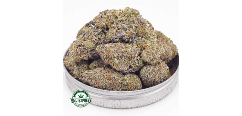 The Biscotti Cookies AAAA is a superior option for stoners who wants to buy marijuana online and experience a relaxing and happy high. 