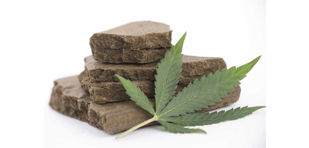 Before we analyze the characteristics and the effects of Gold Seal Hash, let's take a moment to talk about hashish in general. 