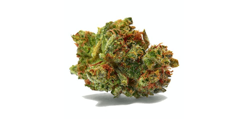 If you're looking for a potent strain to add to your cannabis collection, Sour Diesel, aka "Sour Deez" or "Sour D," should be on your list. 