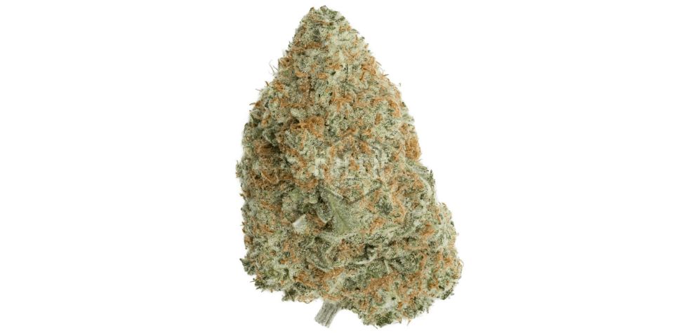 As just mentioned, you can expect a THC content of around 24 percent, making the Durban Poison strain one of the strongest Sativas on the Canadian market. 