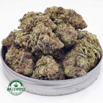 Buy Cannabis Orange Crush AA at MMJ Express Online Shop