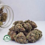 Buy Cannabis Orange Crush AA at MMJ Express Online Shop
