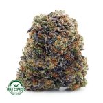 Buy Cannabis Vintage Blueberry AAAA+, Craft at MMJ Express Online Shop
