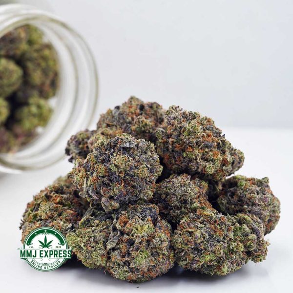 Buy Cannabis Vintage Blueberry AAAA+, Craft at MMJ Express Online Shop