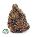 Buy Cannabis Peanut Butter Breath AAA at MMJ Express Online Shop