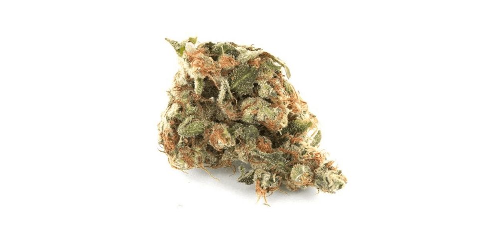 Girl Scout Cookies strain was also used in creating several strains in the cookie family, including the potent Animal Cookies, a cross between Fire OG and GSC strains; Cookie Wreck, also known as Cookie Trainwreck, a hybrid between GSC and Trainwreck.