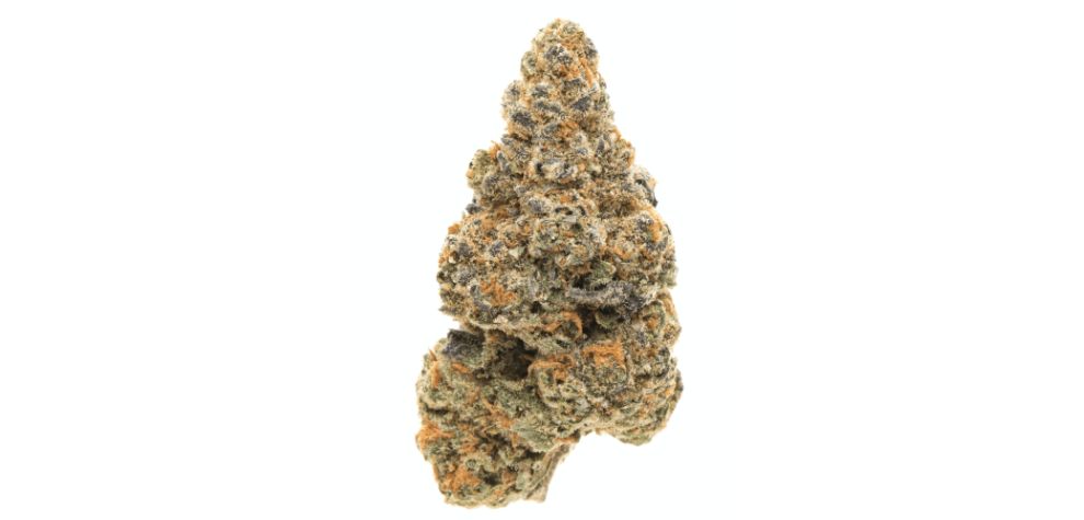 Girl Scout Cookies, also called GSC, Berner Cookies or Berner's Cookies, is an award-winning indica dominant strain, and arguably the most popular strain of the last two decades.