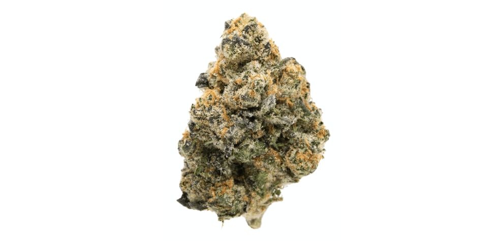 This strain's buds are just as pleasing to the eye as they are to the palate. GSC, like a typical indica, has medium-sized but dense buds.