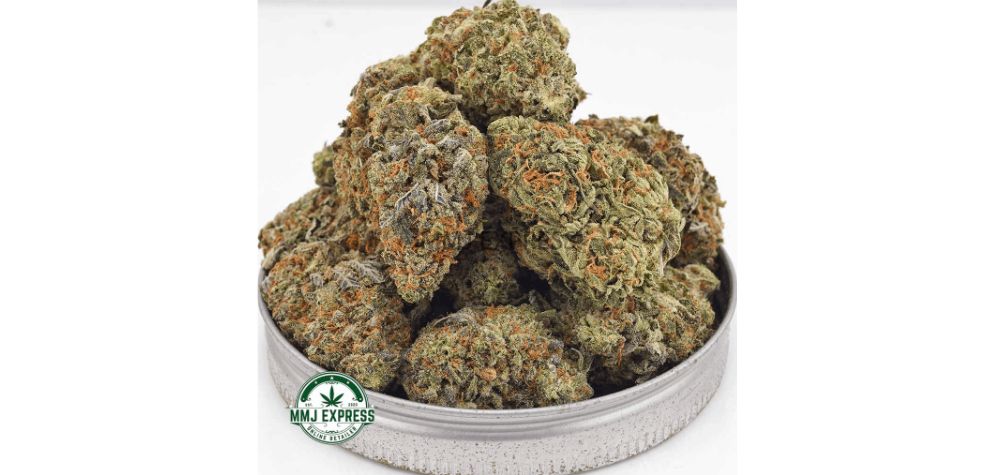 Explore the link between cannabis and sex with this AAAA Lemon Sour Diesel flower available at MMJ Express, Canada's leading online weed dispensary.