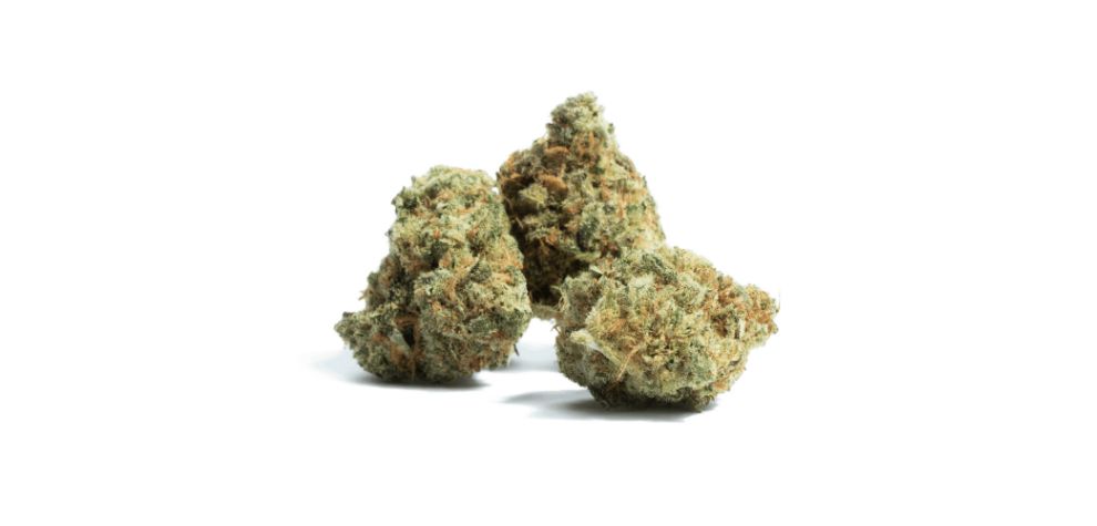 Pink Gas, also known as the Pink Gasoline strain, like most indica strains, has super dense grape-shaped buds.