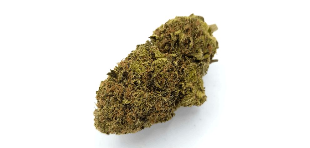 This strain is also known for its effects when used for medicinal or recreational purposes. But what exactly is the Pink Gasoline strain, and what effects does it have?