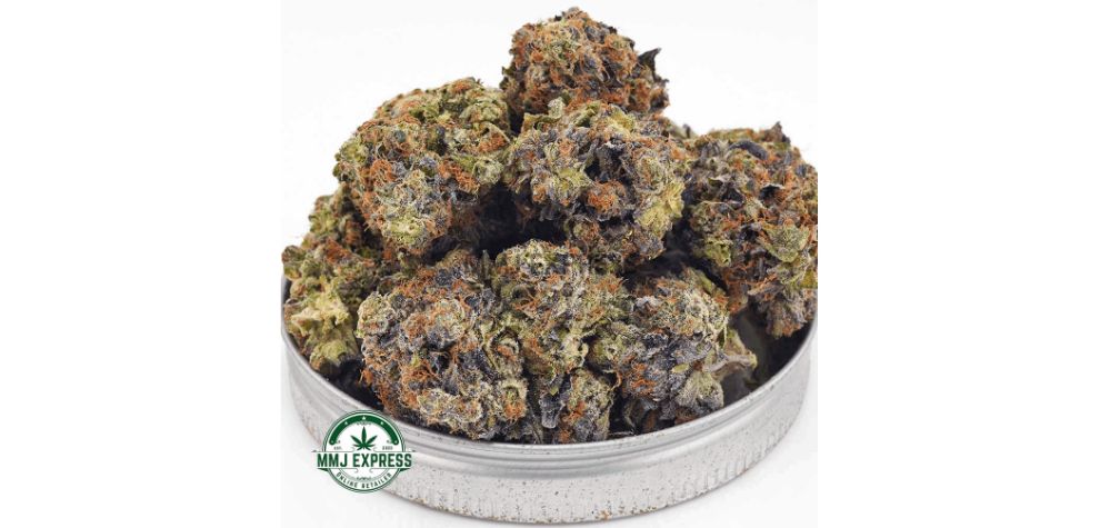 The Platinum Bubba AAAA is a legendary Indica strain that is highly recommended for post-workout recovery. If you're intrigued by the intersection of cannabis and fitness and seek relaxation and sedation, Platinum Bubba is an excellent choice.