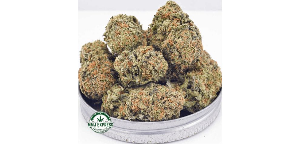 Platinum Cookies, also called Platinum Girl Scout Cookies strain, is GSC's phenotype. It is also a popular hybrid known as the next evolution of GSC.