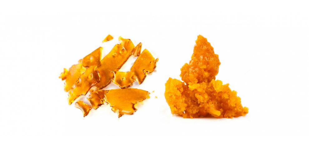 Shatter, like other concentrates, has a higher content of cannabinoids (THC) and terpenes than regular flower.