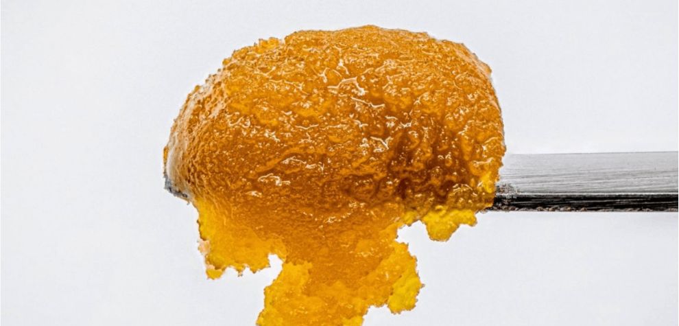When it comes to appearance, there is no mistaking marijuana shatter for any other concentrate in the market right now.
